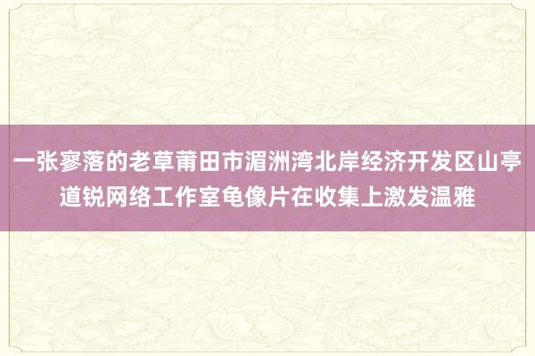 一张寥落的老草莆田市湄洲湾北岸经济开发区山亭道锐网络工作室龟像片在收集上激发温雅