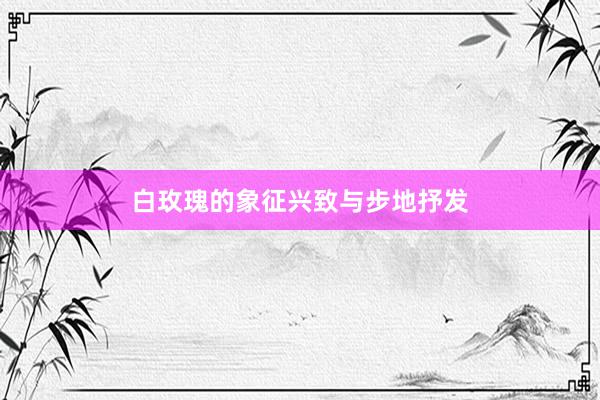 白玫瑰的象征兴致与步地抒发