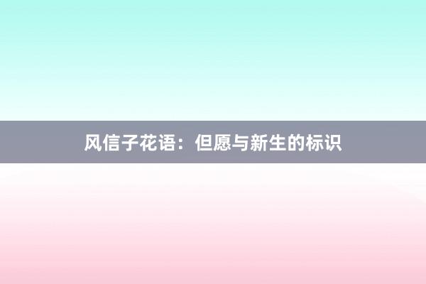 风信子花语：但愿与新生的标识