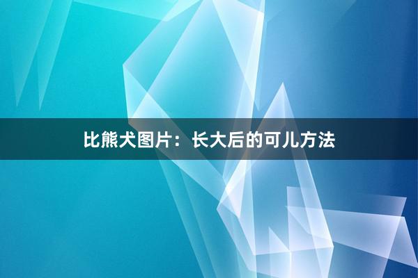 比熊犬图片：长大后的可儿方法